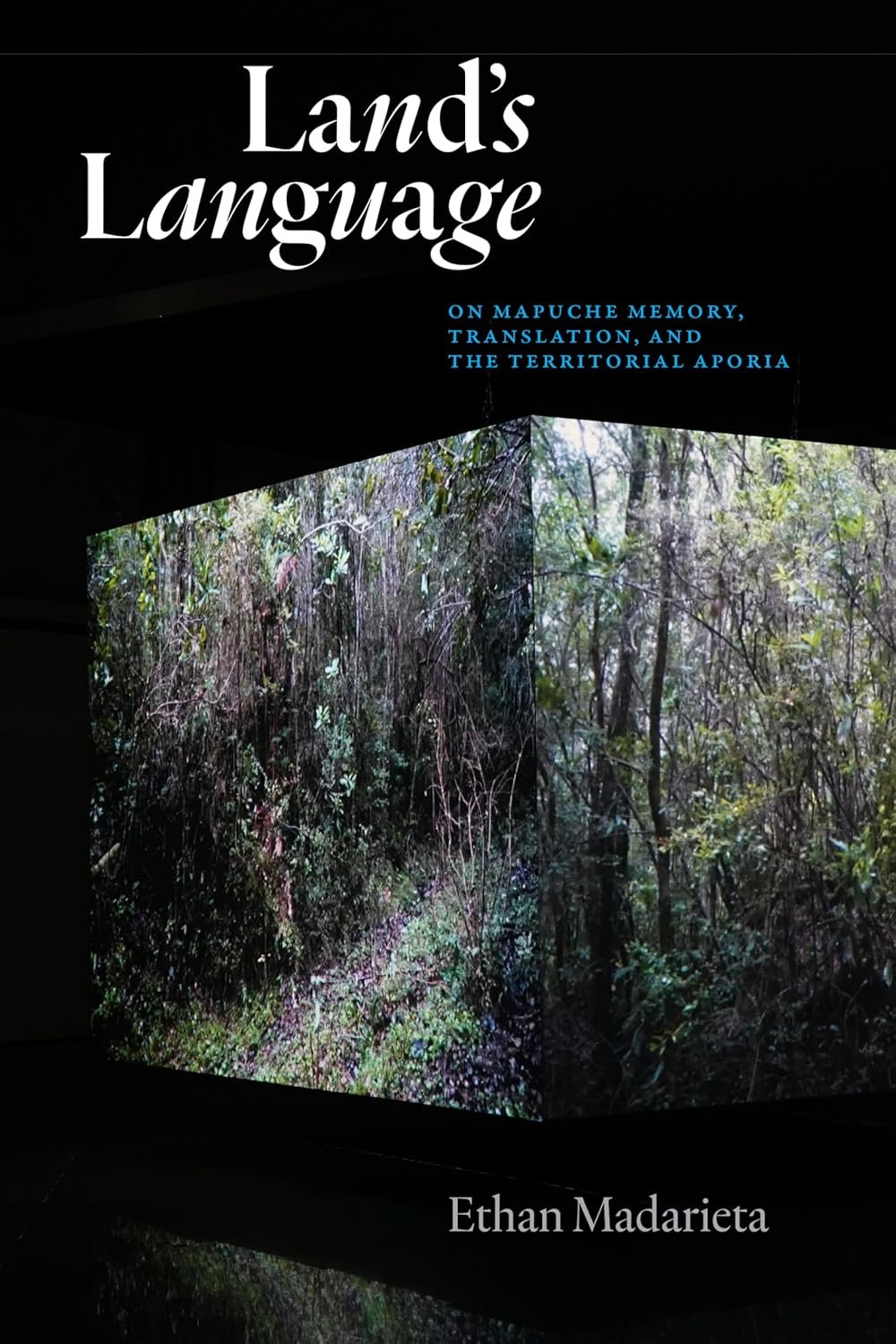 Land's Language: On Mapuche Memory, Translation, and the Territorial Aporia
