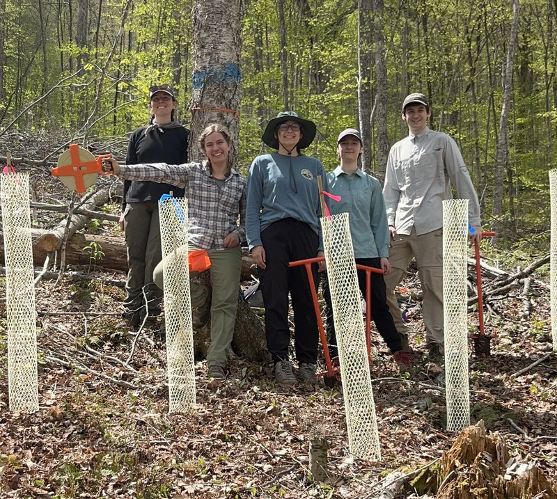 Group of people in a forest.