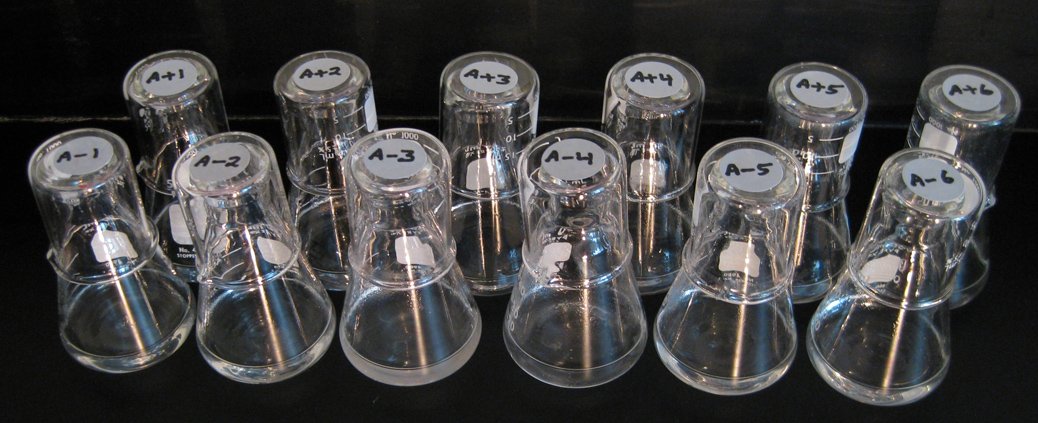 E. coli cultures.