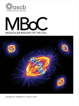 Cover of Molecular Biology of the Cell volume 30, issue 13,  June 15, 2019