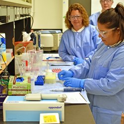 Person in a lab performing manual sequencing library preparation.