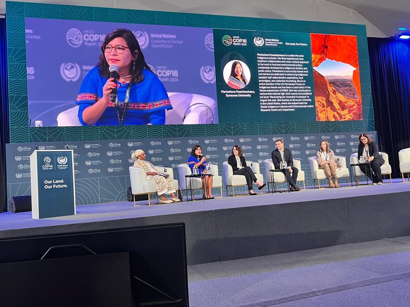 Person speaking on stage during a panel discussion.