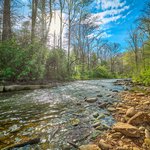 Mills River in Pisgah National Forest North Carolina