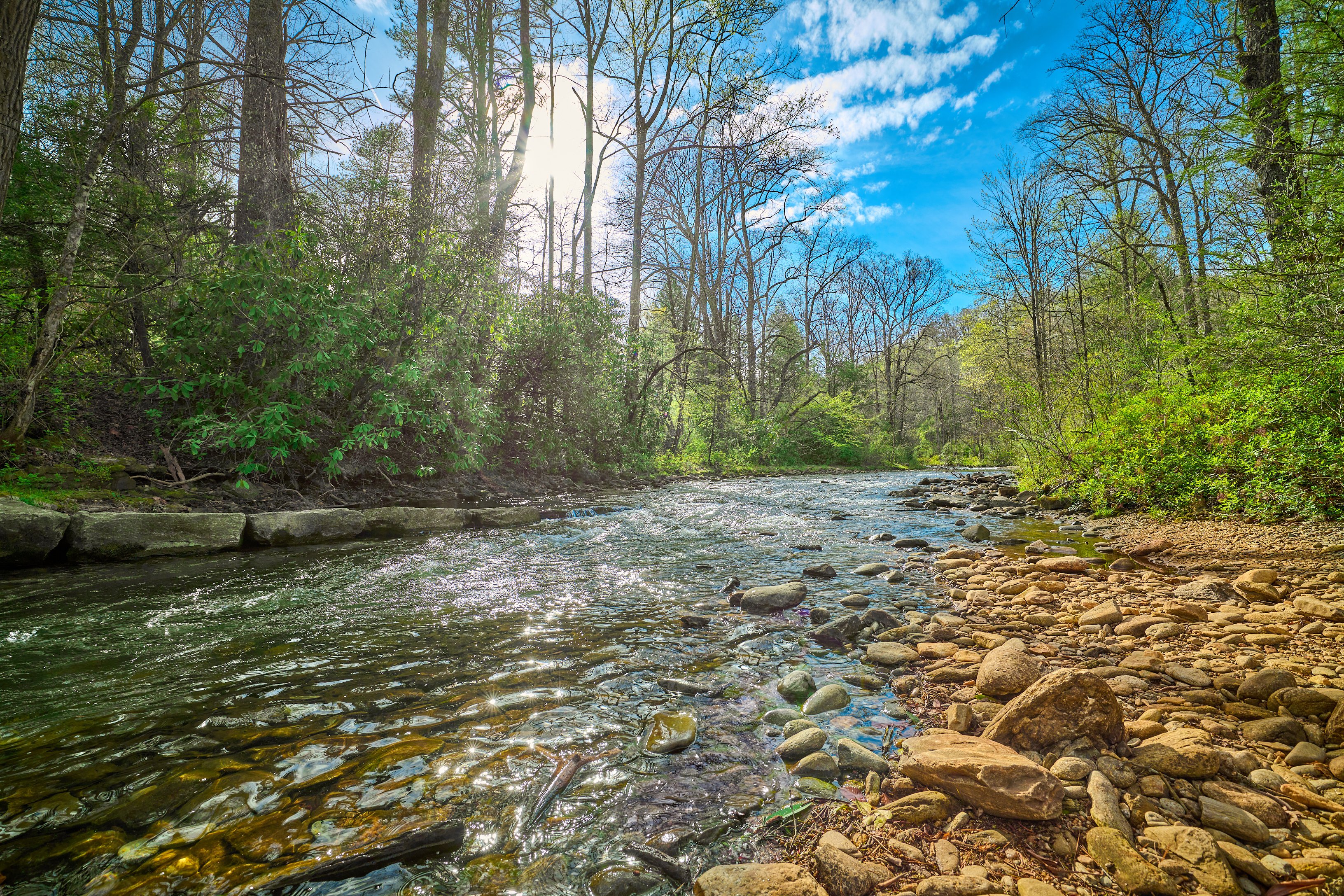 Mills River in Pisgah National Forest North Carolina