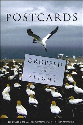 Postcards Dropped in Flight: In Praise of Avian Companions