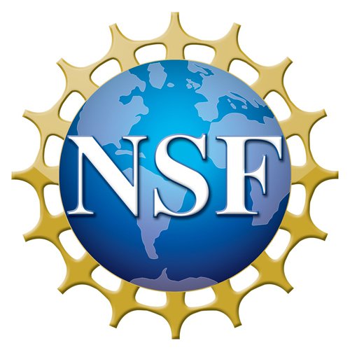 NSF Logo 300x300.jpg