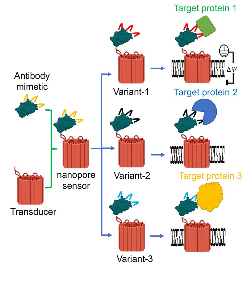 Nanopore Sensor Graphic