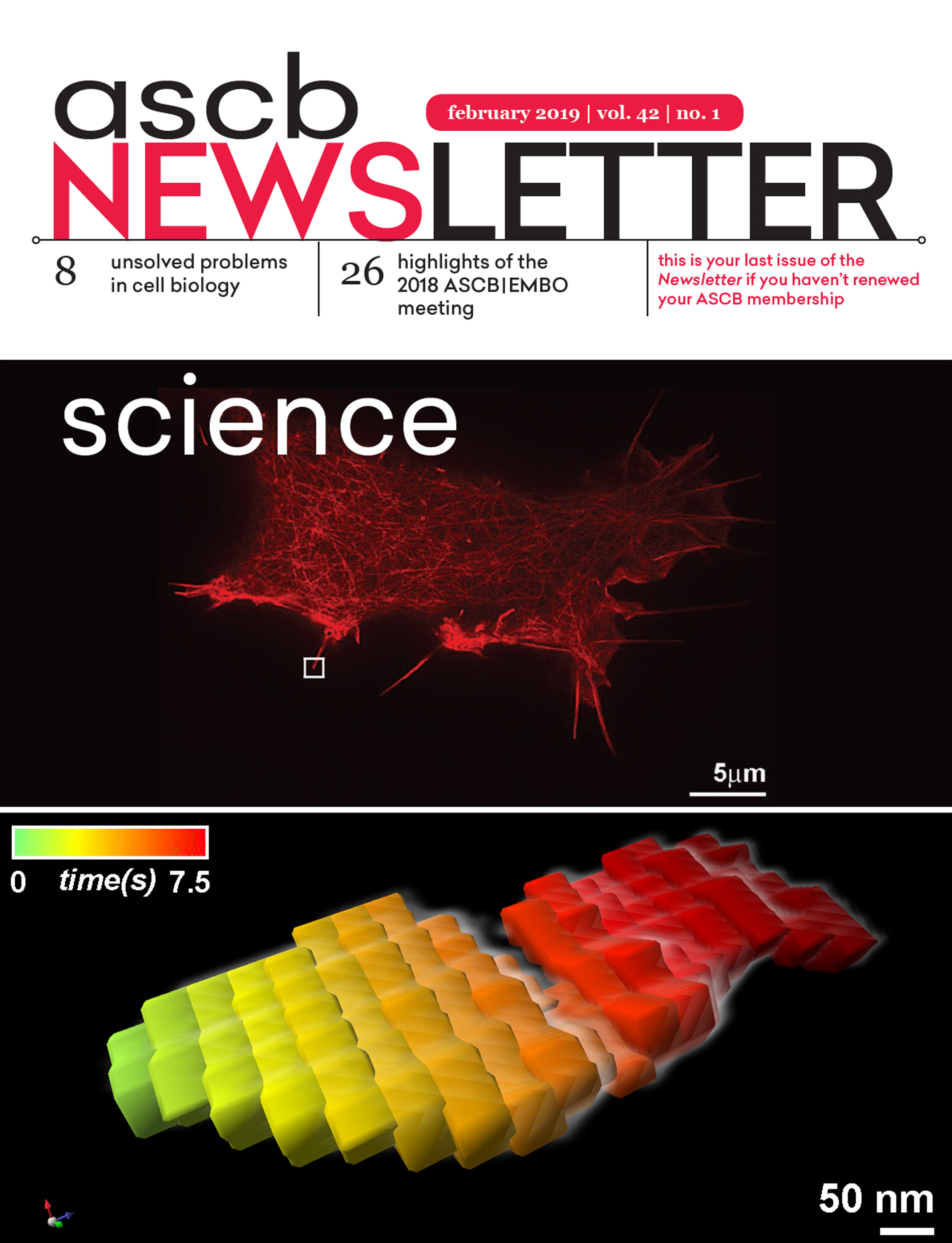 Cover page of the February  2019 ASCB newsletter.