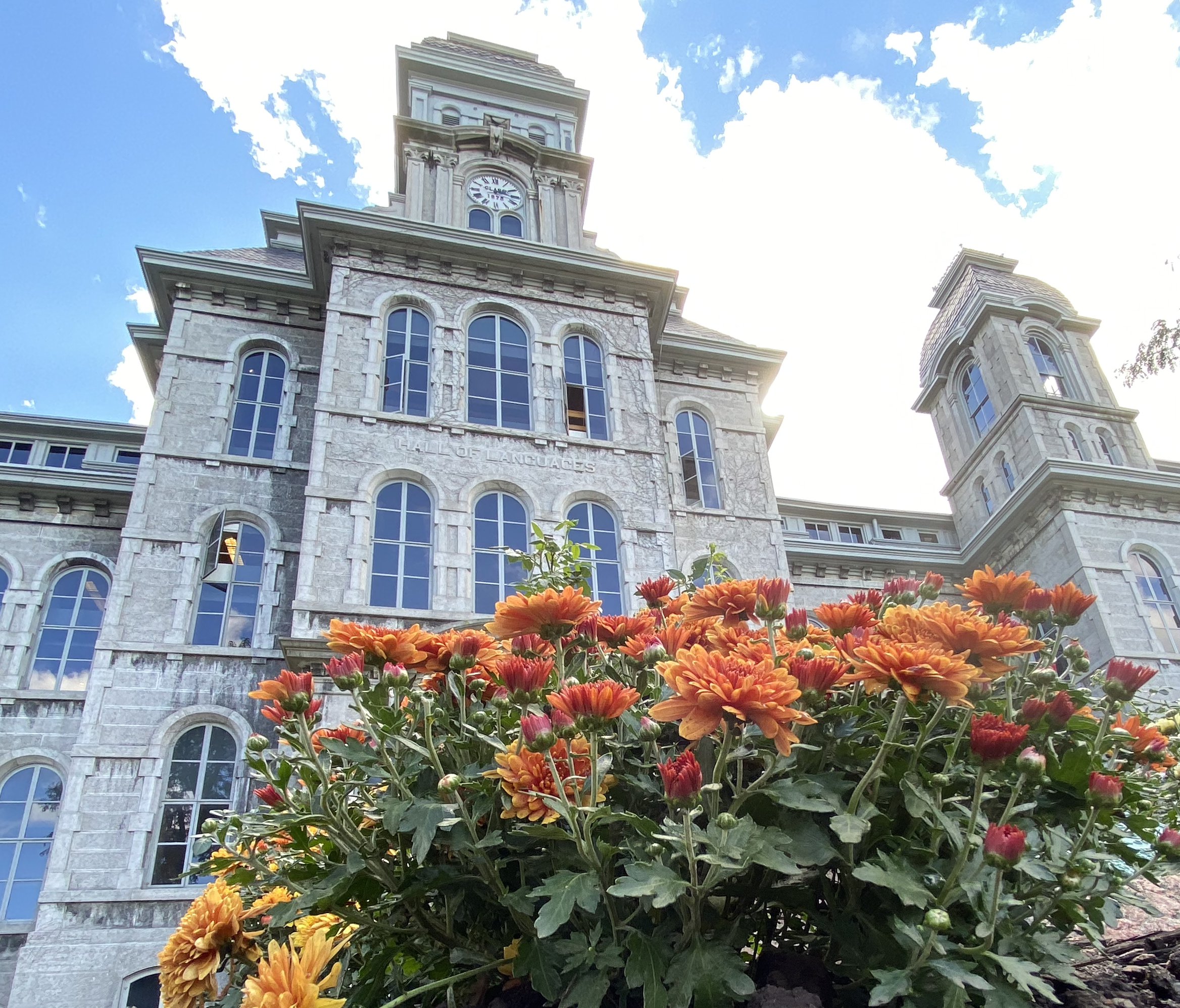 Orange mums with Hall of Languages in the background.