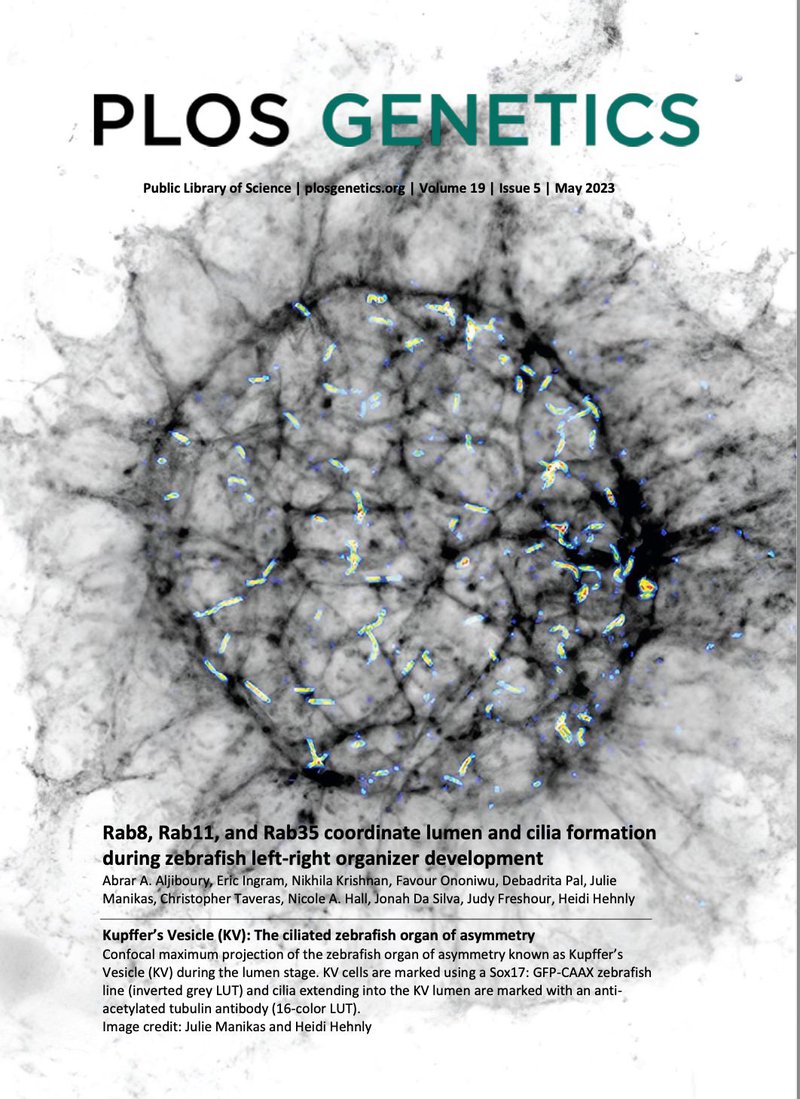 Cover of the PLOS journal with image of the zebrafish organ