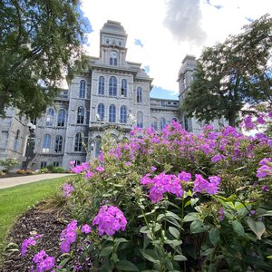 Purple flowers with Hall of Languages in the background.