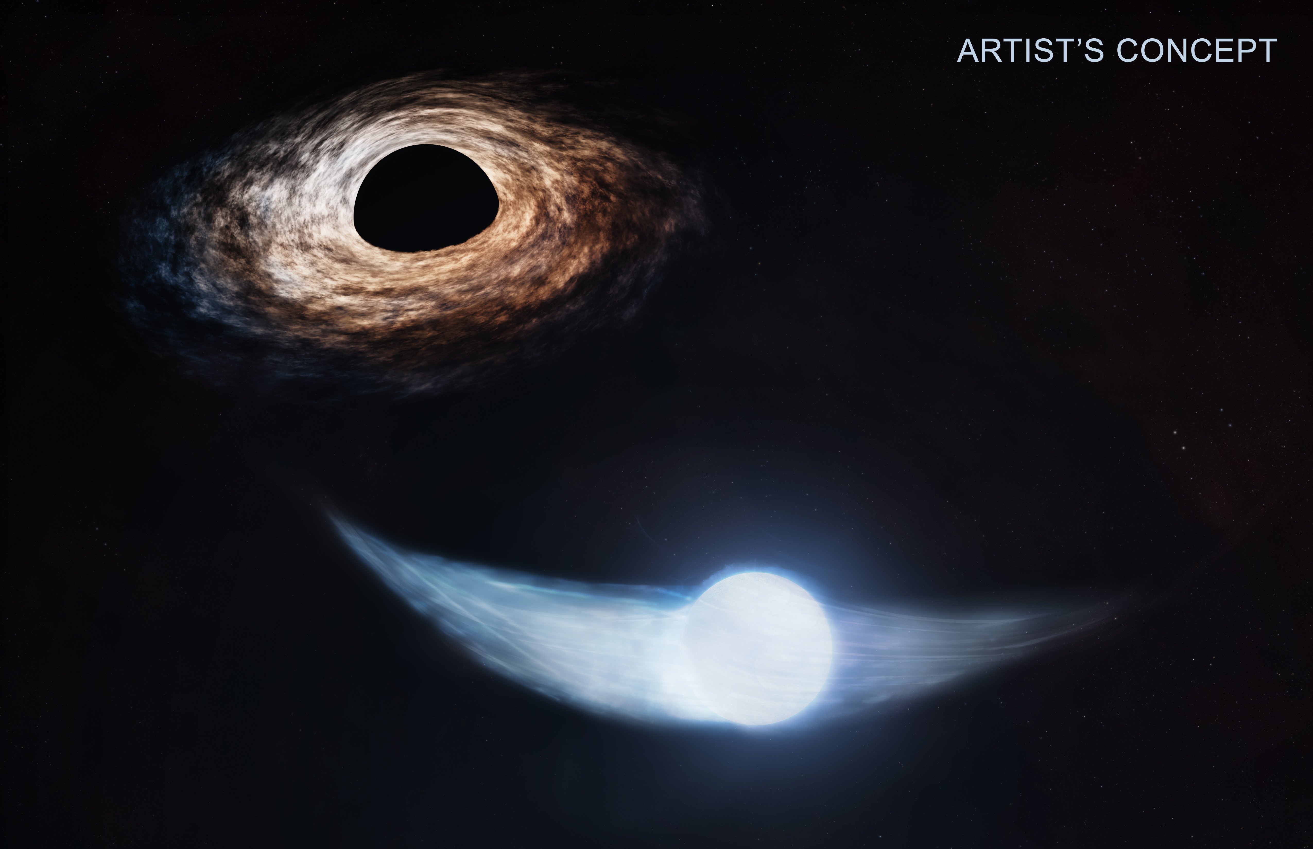 Star sheds stellar debris as it orbits a supermassive black hole