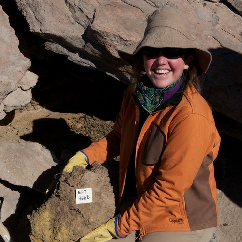 Researcher Francisca Diaz, a co-author on the study, sampling middens in the Atacama Desert in South America.