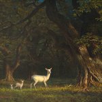 Albino Doe and Two Fawns in Forest, 1875 by Albert Bierstadt