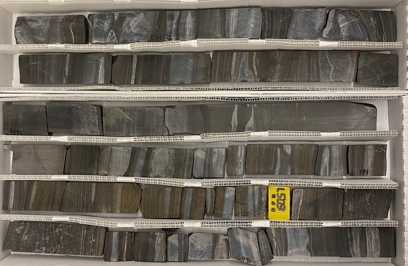 Sedimentary rock cores from South Africa