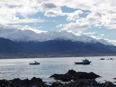 SU Abroad students will be based at the Seaward Kaikoura Mountains on New Zealand's South Island for a week during their field experience. Photo credit: Paul Fitzgerald.