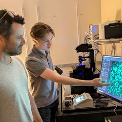 Two people reviewing cellular imaging.