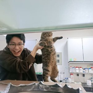 Shihao Zhu