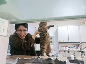 Shihao Zhu