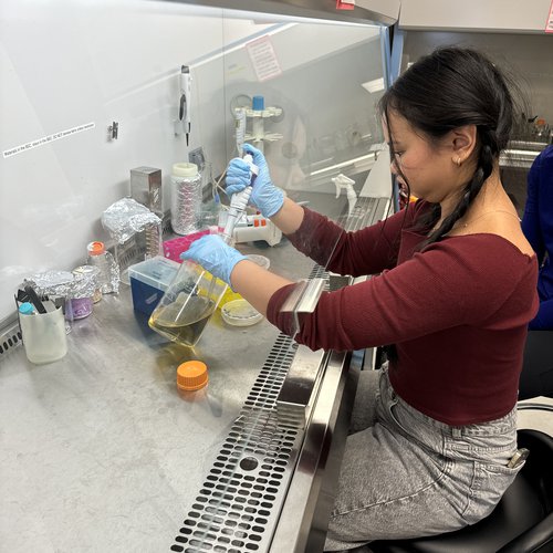 Student using pipette under vent hood.