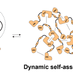 A three-panel schematic showing the Dsk2 protein progressing from a single monomer, to a dynamic self-assembled oligomeric network, to a liquid-liquid phase-separated condensate, with double-headed arrows indicating reversible transitions.