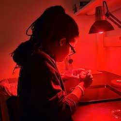Person sitting in a lab room lit with red light inspecting a sample.