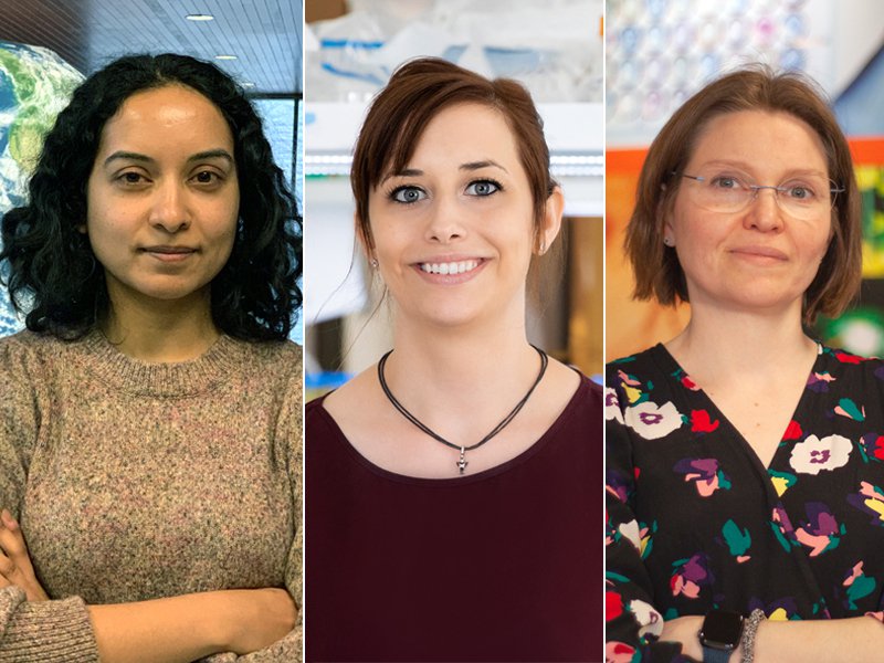 Tripti Bhattacharya Alison Patteson and Olga Makhlynets
