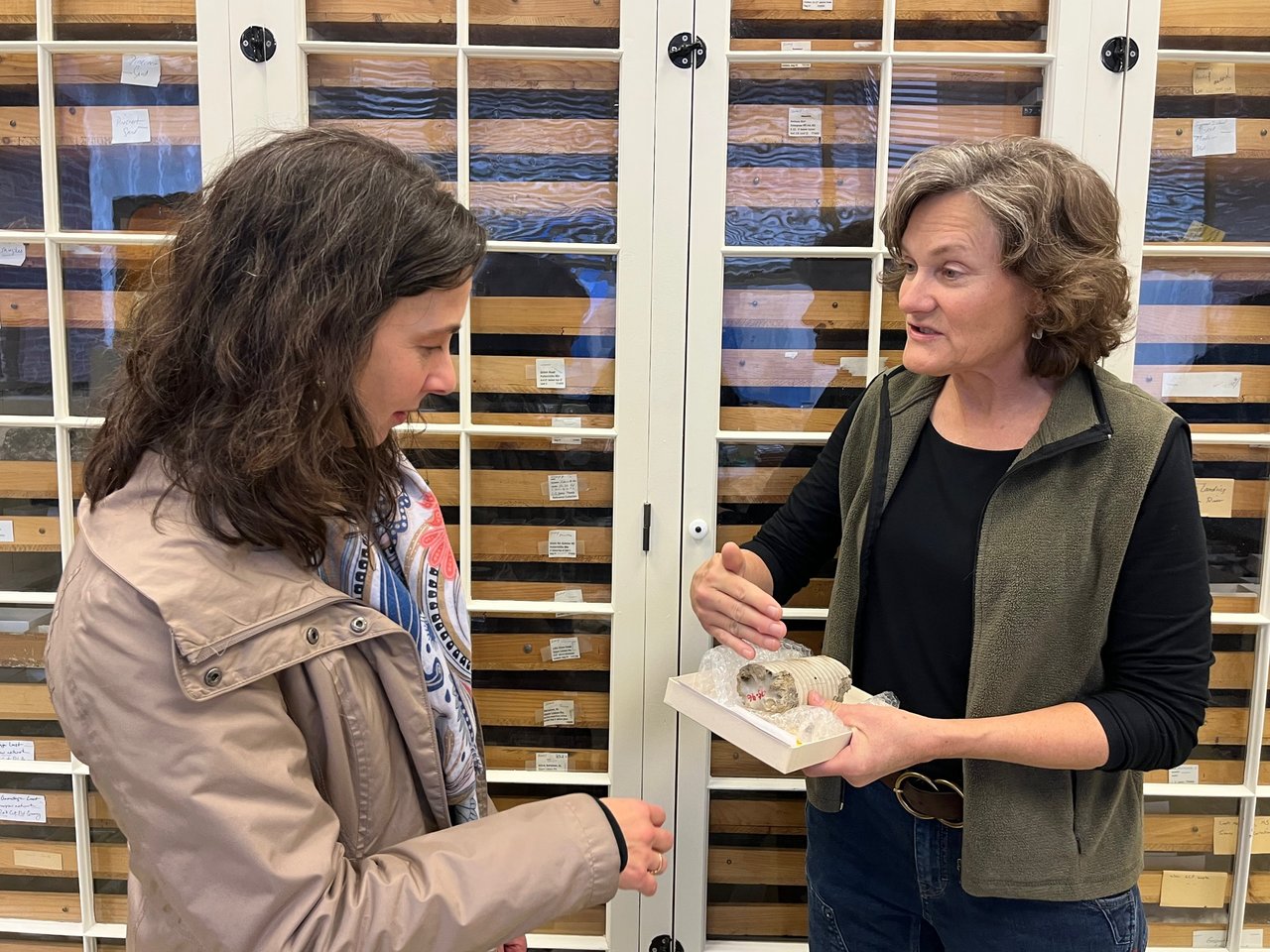 Two people talking about a fossil.