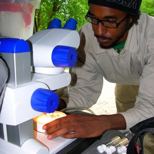 Yasir collecting Drosophila americana in central Indiana.