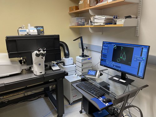 Zeiss LSM 980 with Airyscan2 confocal microscope in the Blatt Bioimaging Center.