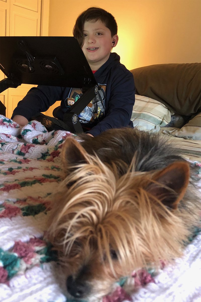 child and dog on bed with laptop