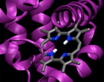 artist version of a biomolecule