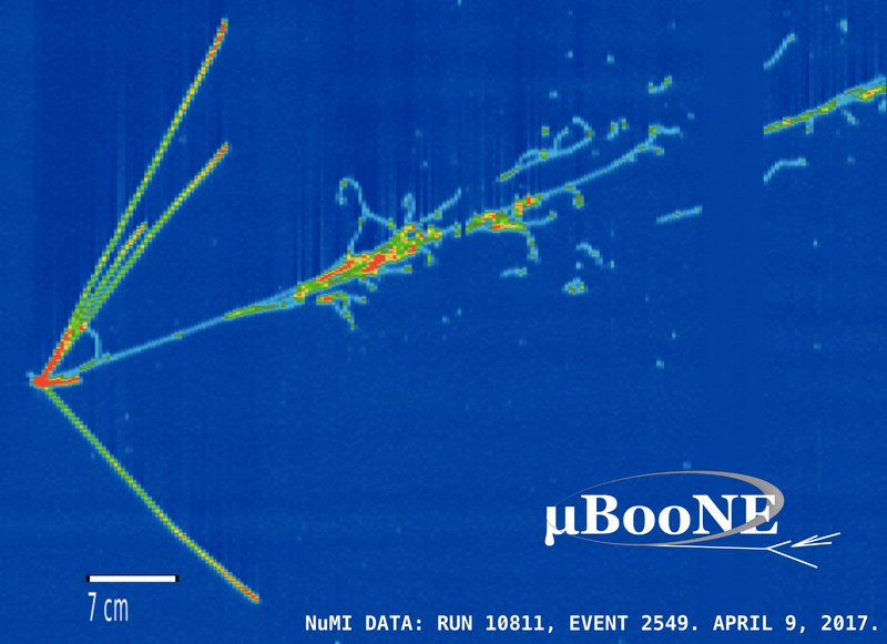 aftermath of a neutrino interaction