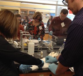 One of the goals of the SU workshop was to encourage teachers to use more benign chemicals. 