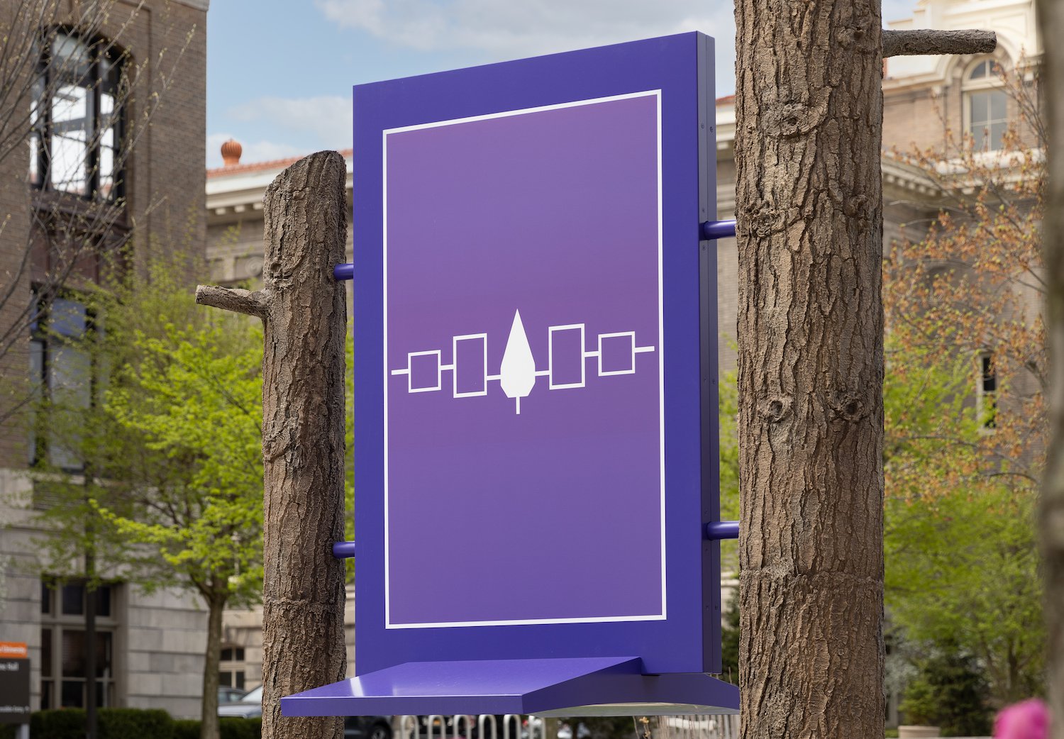 Haudenosaunee flag sign on campus in spring