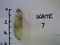 Ikaite crystal found in sediment cores drilled off the coast of Antarctica.