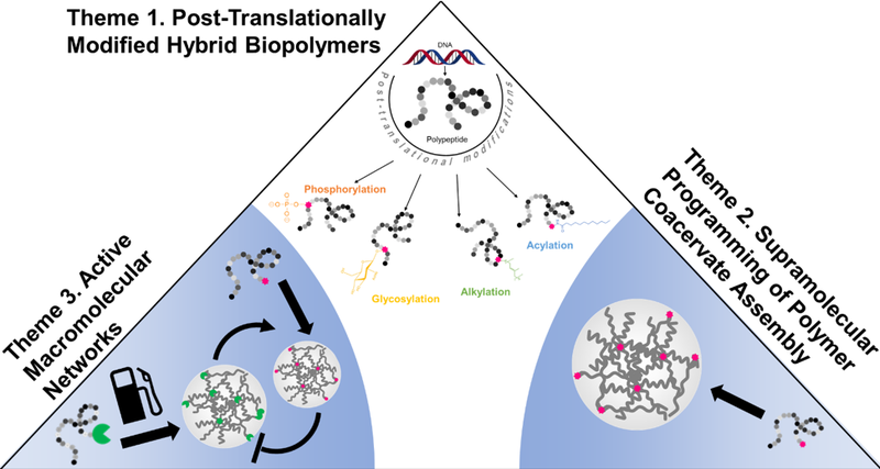 mozhdehi-post-translationally-modified-hybrid-biopolymers.png