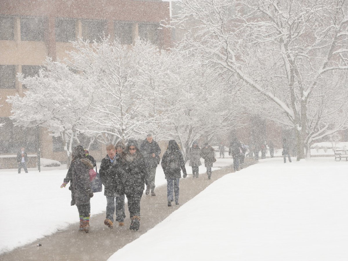 Snow on the quad, recent.