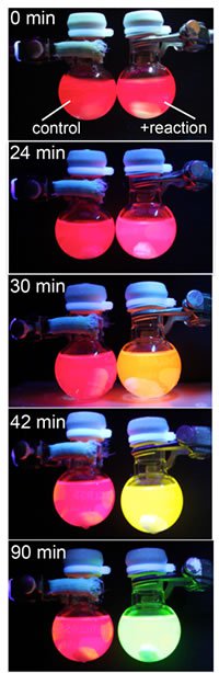 A photo timeline of reaction monitoring using perovskite fluorescence