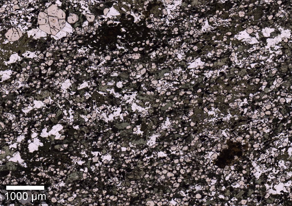 Microscope image of a thin section from the eclogite.