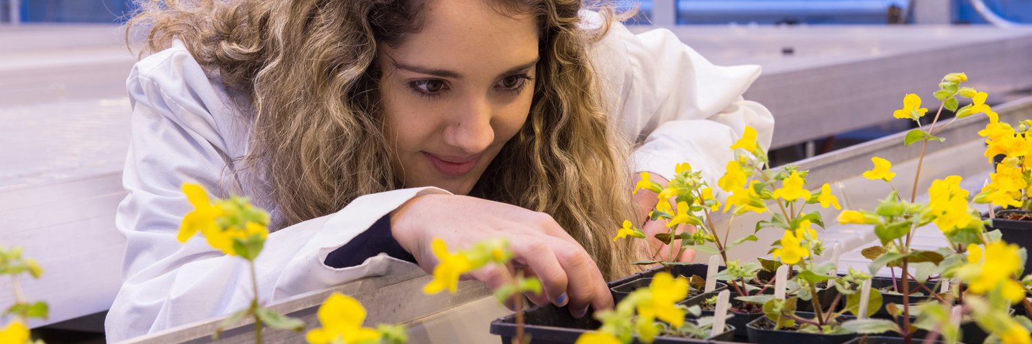 Student studies flowers.