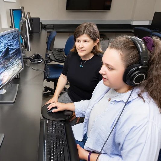 Students work on computer