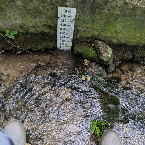 Water level gauge immersed in a stream.